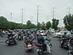 DSC00022.JPG